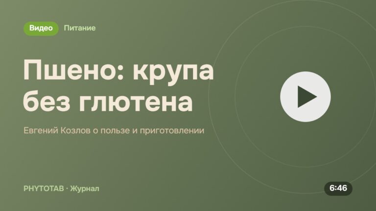 Обложка видео «Пшено: крупа без глютена», Евгений Козлов о пользе и приготовлении